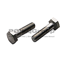 Bolt Hex 316 S/S 20mm x 100mm