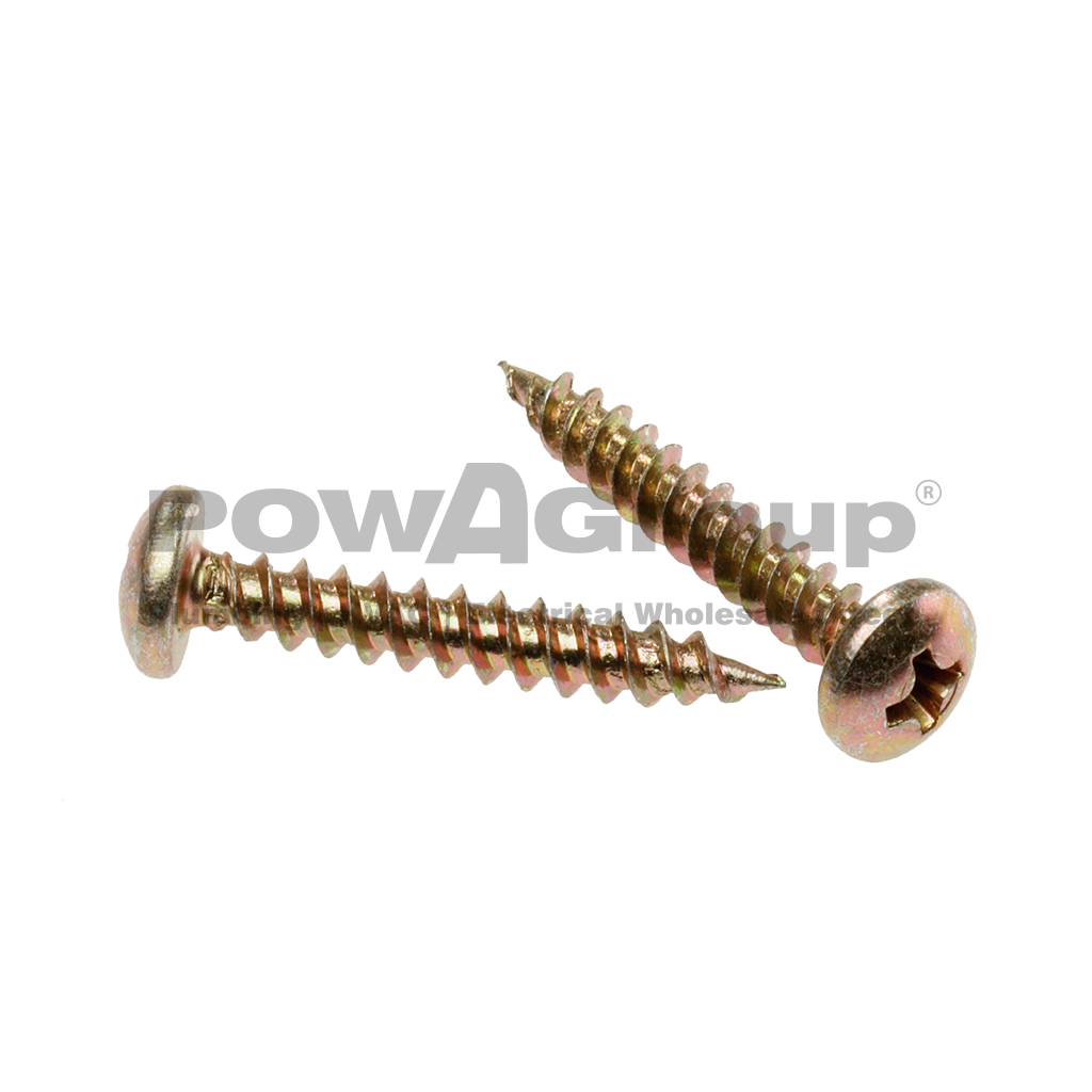 *PO* Screw Needle Point Pan Head - 6g x 20mm