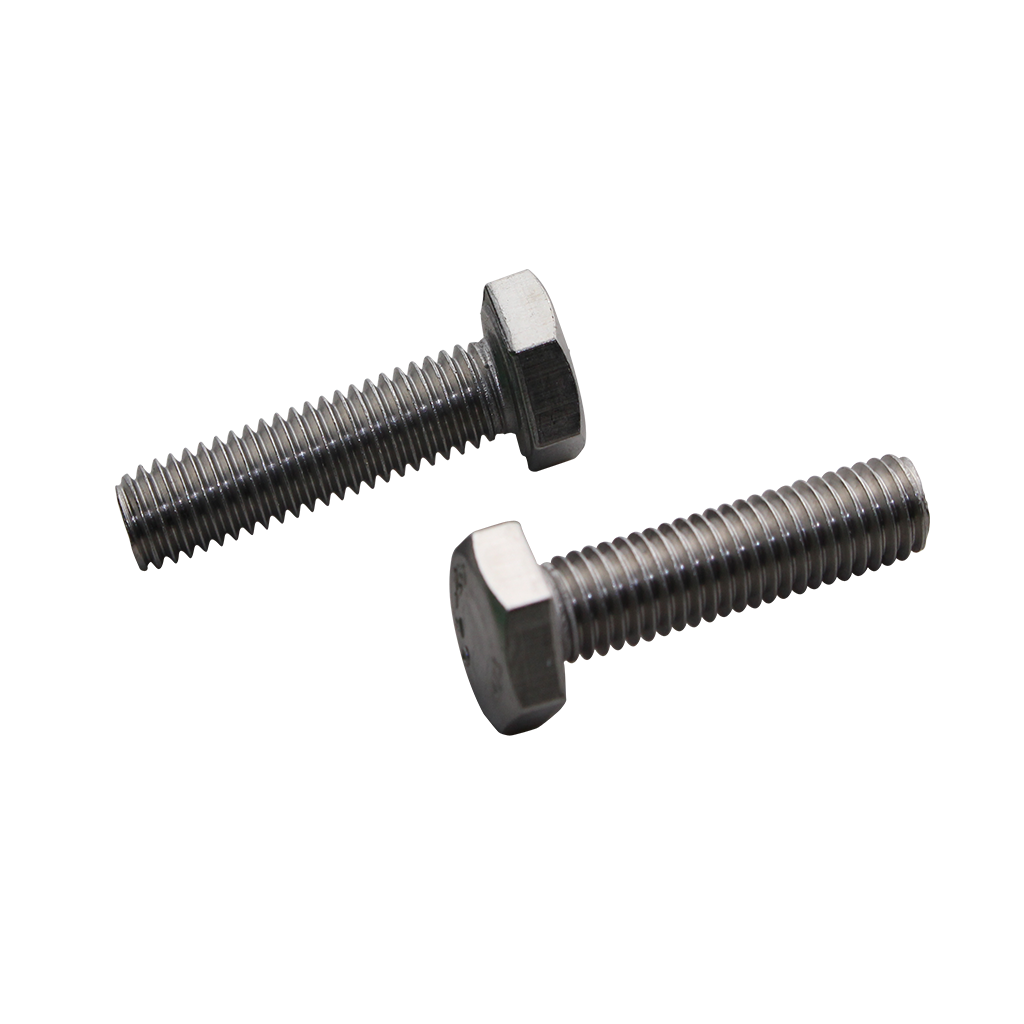 Set Screw 316 S/S 16mm x 45mm