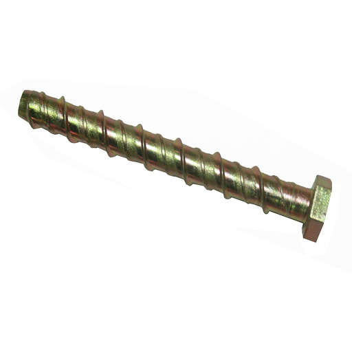 [02ASHSB023] Screw-in Bolt Hex Head Concrete Anchor Z/P 10mm x 120mm